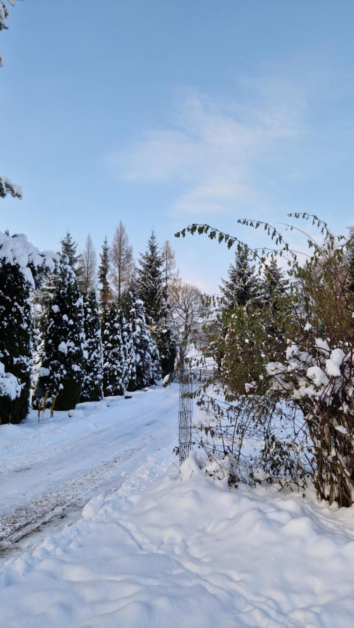 Vila Agroturystyka Nad Cicha Polanica-Zdrój Exteriér fotografie